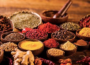 Oukup, Natural Spa and Medicinal Treatment the Batak Way