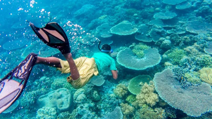 7 Hal Tentang Wakatobi yang Wajib Kamu Tahu