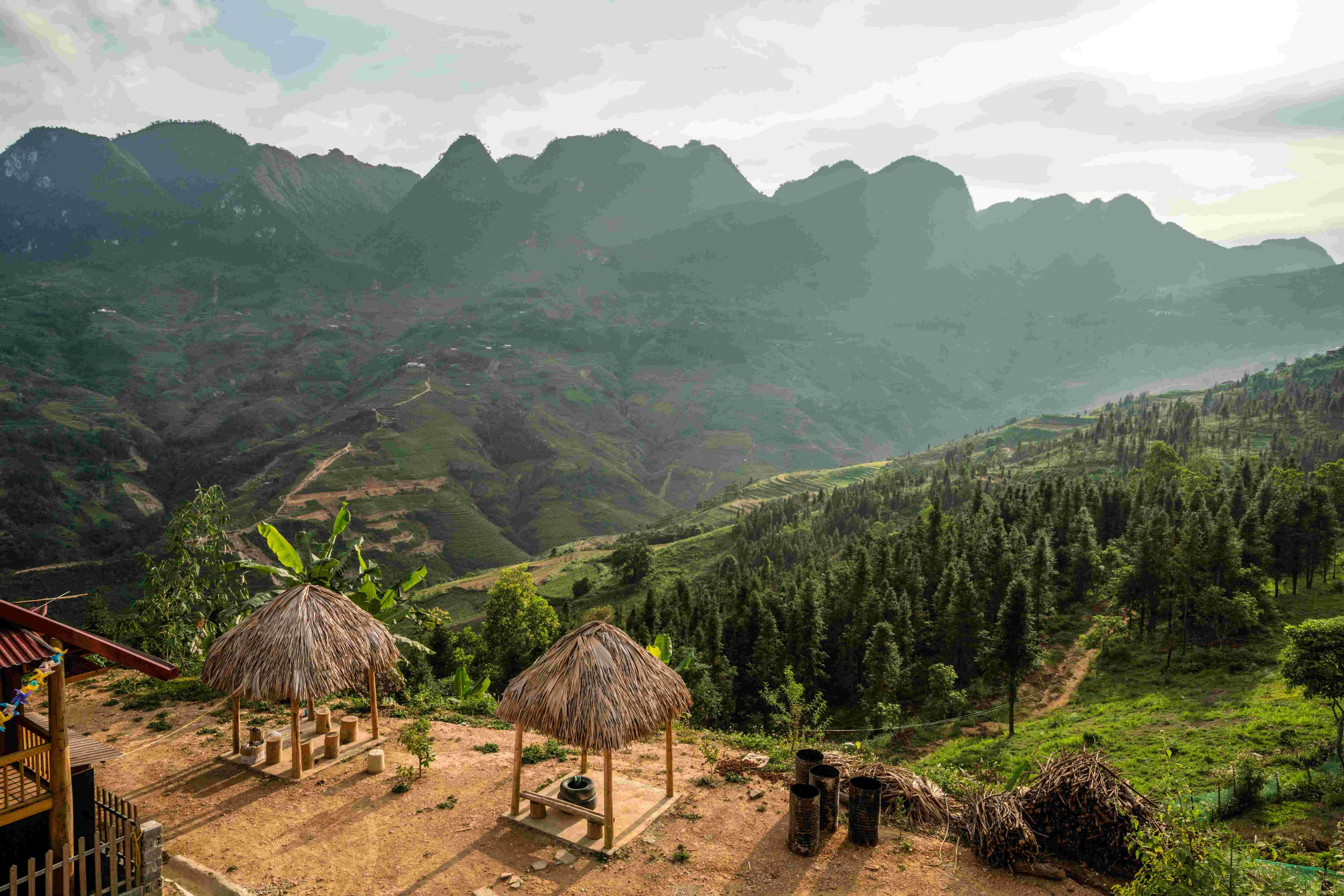 Papua