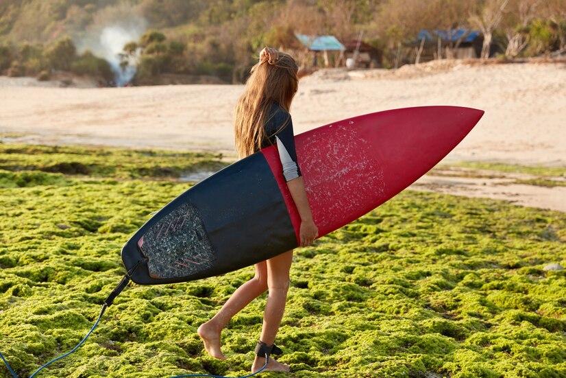 Surfing Treasure Island (Intermediate)