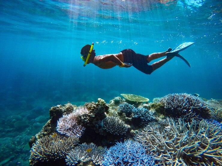 Snorkeling Komodo Island