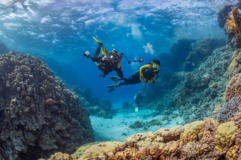 Diving Alor