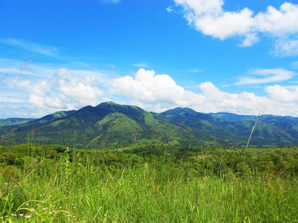 Taman Nasional Laiwangi Wanggameti di Sumba Timur