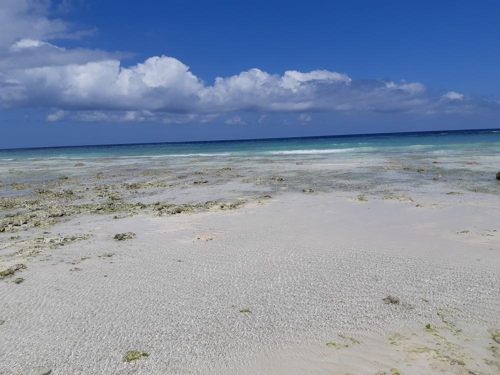 Pantai Tanjung