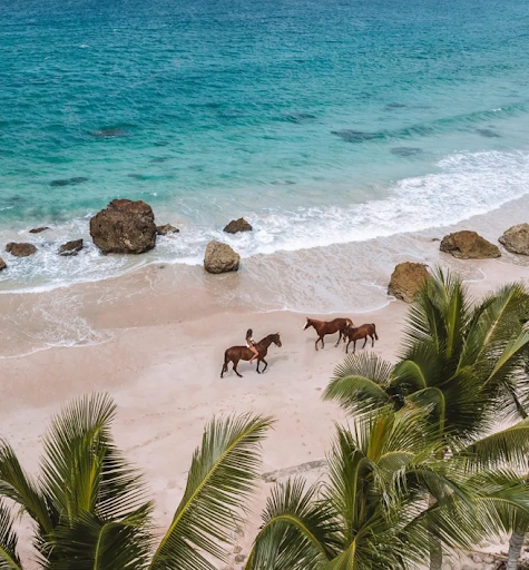 Sumba