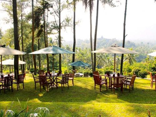 8 Beautiful Hotels Closest to Magnificent Borobudur