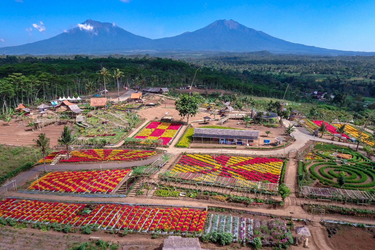 Agrowisata Taman Suruh